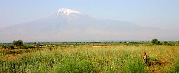 La plaine de l'Ararat et le mont