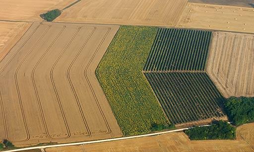 Traces des hommes sur la terre ULM 1